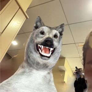 Meet your Posher, Minna